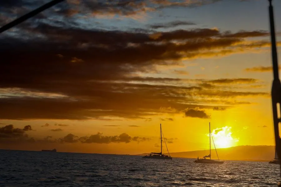 Sunset Catamaran Cruise