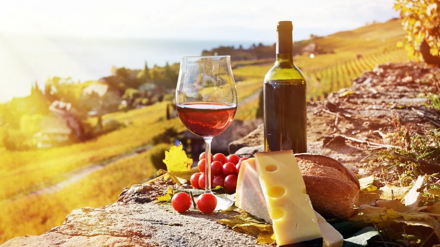 Troodos Wine Villages Tour