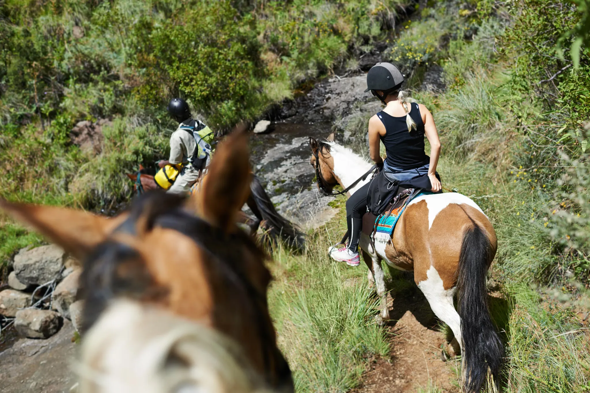 Horse Riding at Sunset