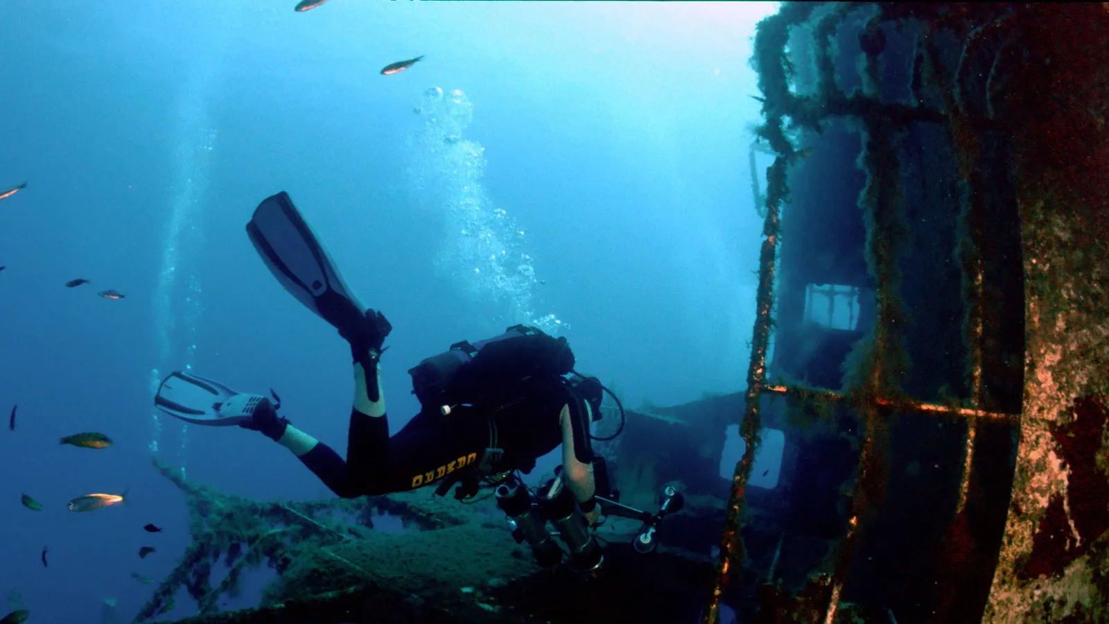 Zenobia Wreck Dive
